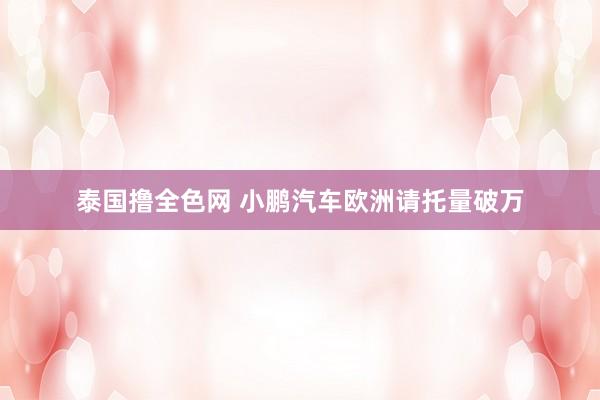 泰国撸全色网 小鹏汽车欧洲请托量破万