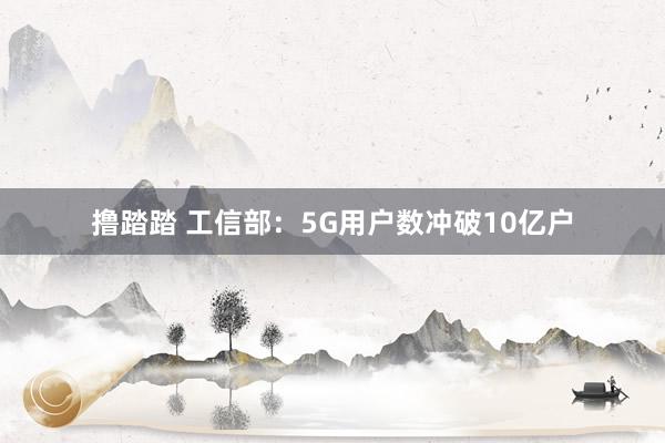 撸踏踏 工信部：5G用户数冲破10亿户