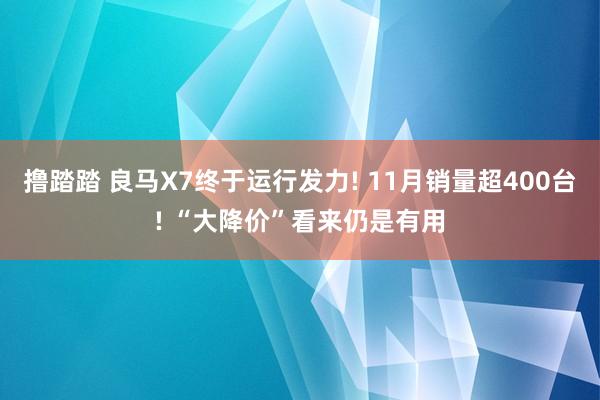 撸踏踏 良马X7终于运行发力! 11月销量超400台! “大降价”看来仍是有用