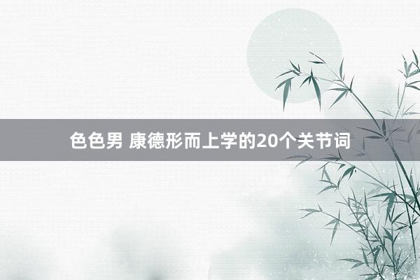 色色男 康德形而上学的20个关节词