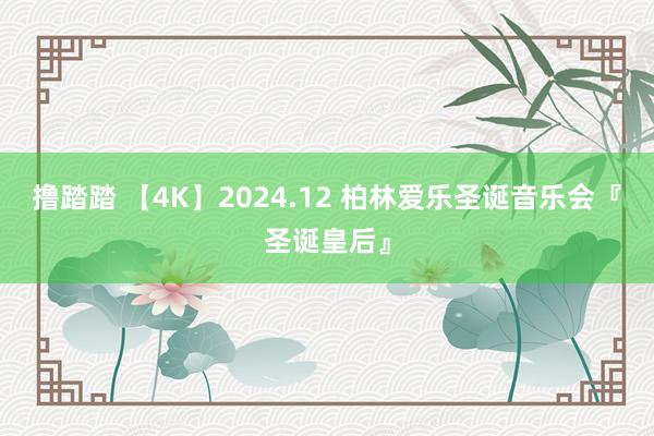撸踏踏 【4K】2024.12 柏林爱乐圣诞音乐会『圣诞皇后』