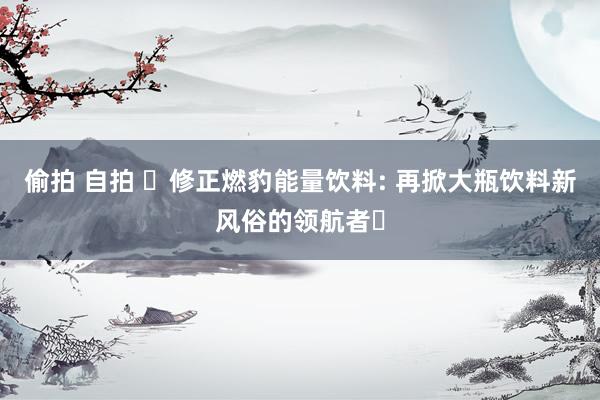 偷拍 自拍 ‌修正燃豹能量饮料: 再掀大瓶饮料新风俗的领航者‌