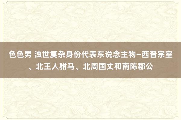 色色男 浊世复杂身份代表东说念主物—西晋宗室、北王人驸马、北周国丈和南陈郡公