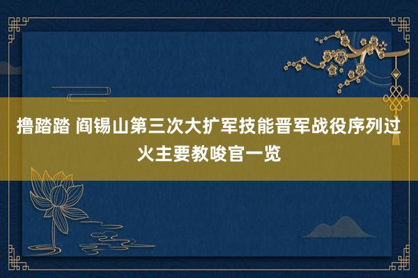 撸踏踏 阎锡山第三次大扩军技能晋军战役序列过火主要教唆官一览
