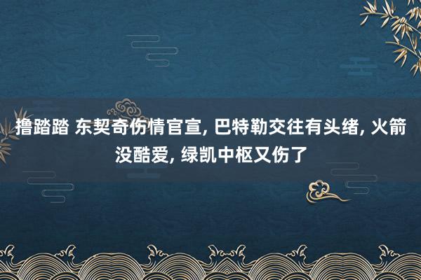 撸踏踏 东契奇伤情官宣， 巴特勒交往有头绪， 火箭没酷爱， 绿凯中枢又伤了