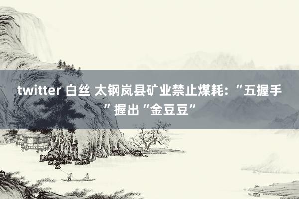 twitter 白丝 太钢岚县矿业禁止煤耗: “五握手”握出“金豆豆”