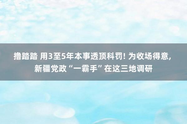 撸踏踏 用3至5年本事透顶科罚! 为收场得意， 新疆党政“一霸手”在这三地调研