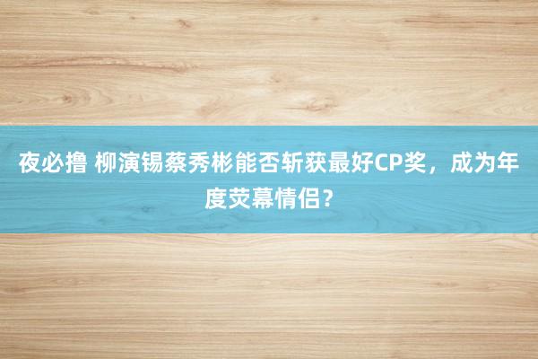 夜必撸 柳演锡蔡秀彬能否斩获最好CP奖，成为年度荧幕情侣？