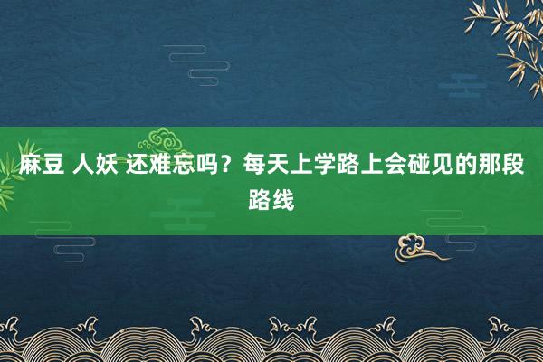 麻豆 人妖 还难忘吗？每天上学路上会碰见的那段路线