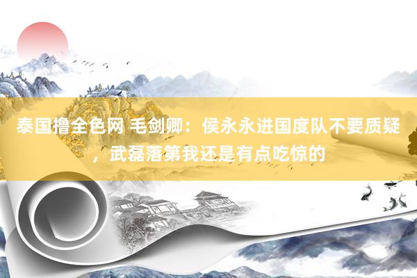 泰国撸全色网 毛剑卿：侯永永进国度队不要质疑，武磊落第我还是有点吃惊的