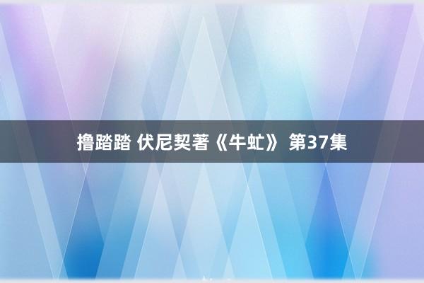 撸踏踏 伏尼契著《牛虻》 第37集