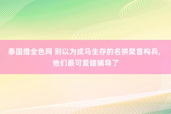 泰国撸全色网 别以为戎马生存的名拼聚首构兵， 他们最可爱瞎辅导了