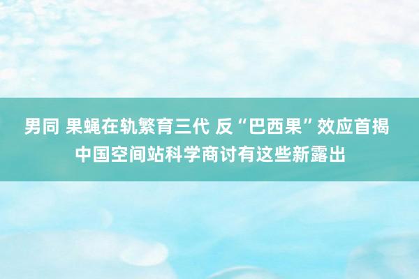 男同 果蝇在轨繁育三代 反“巴西果”效应首揭 中国空间站科学商讨有这些新露出