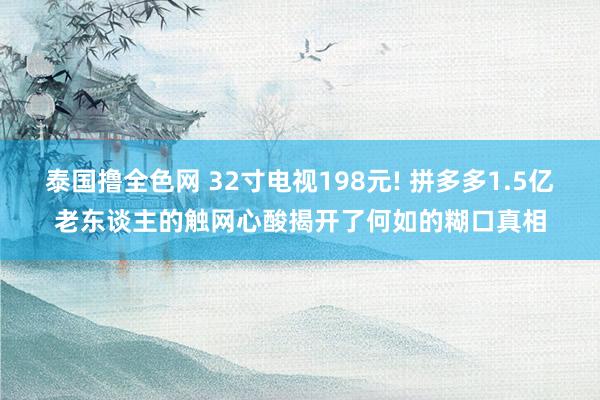 泰国撸全色网 32寸电视198元! 拼多多1.5亿老东谈主的触网心酸揭开了何如的糊口真相