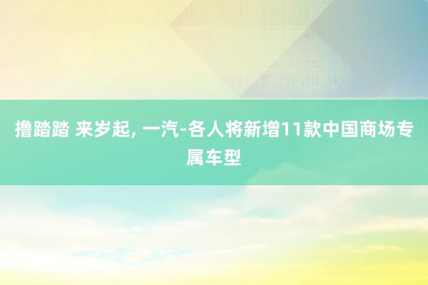 撸踏踏 来岁起， 一汽-各人将新增11款中国商场专属车型