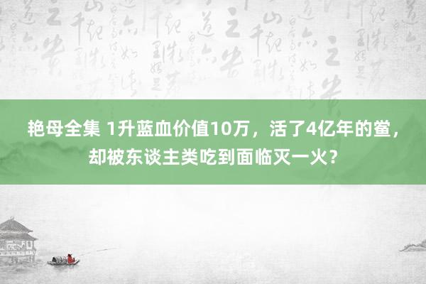 艳母全集 1升蓝血价值10万，活了4亿年的鲎，却被东谈主类吃到面临灭一火？