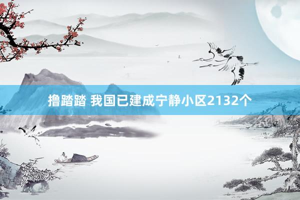 撸踏踏 我国已建成宁静小区2132个
