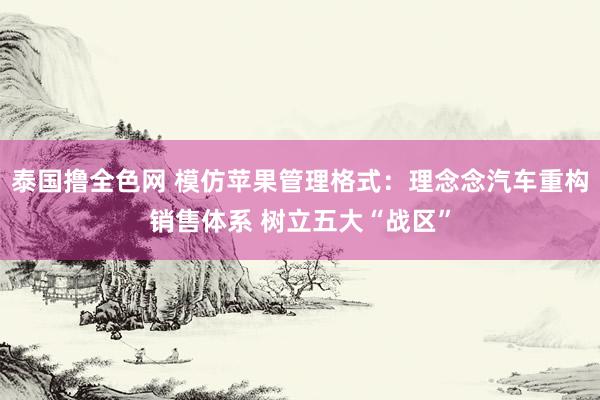 泰国撸全色网 模仿苹果管理格式：理念念汽车重构销售体系 树立五大“战区”