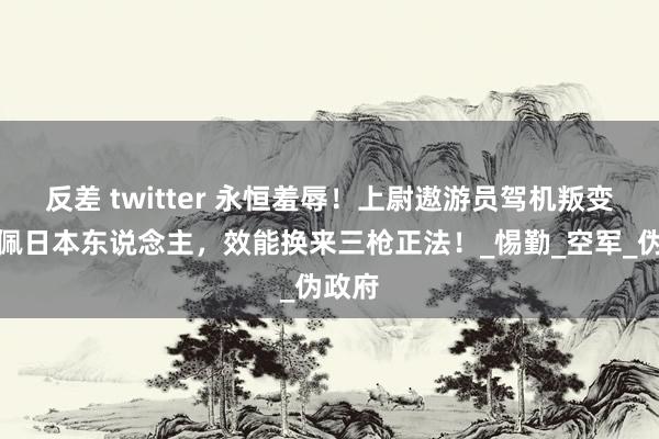 反差 twitter 永恒羞辱！上尉遨游员驾机叛变，敬佩日本东说念主，效能换来三枪正法！_惕勤_空军_伪政府
