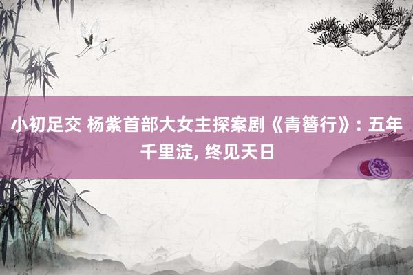 小初足交 杨紫首部大女主探案剧《青簪行》: 五年千里淀, 终见天日